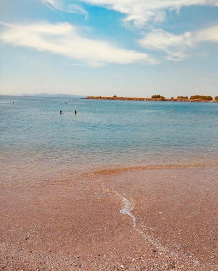 Modern Apt In Glyfada A Breath Away From The Sea - The View Aten Exteriör bild
